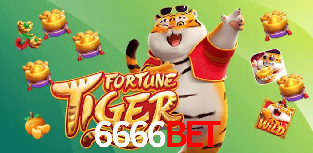 Player Reviews 6666BET